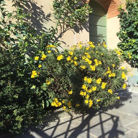 Casa Mita Con Pacchetto Mare Incluso Villa Camaiore Kültér fotó