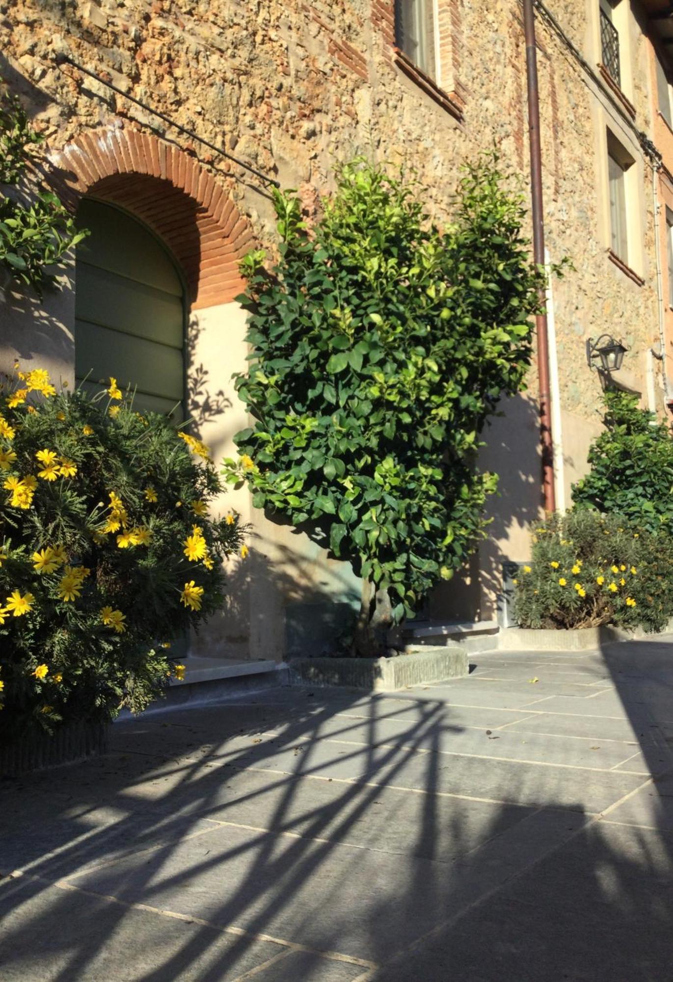 Casa Mita Con Pacchetto Mare Incluso Villa Camaiore Kültér fotó